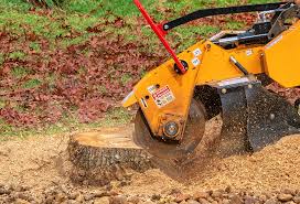 Tree and Shrub Care in Freeport, IL